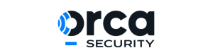 Orca-Security-KO